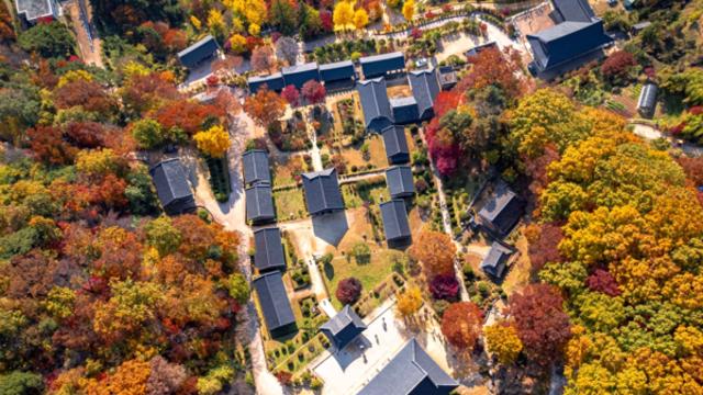 가을이면 영주 부석사 주변 단풍 장관