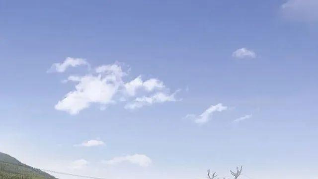 오스트리아 송전탑 근황.jpg,,