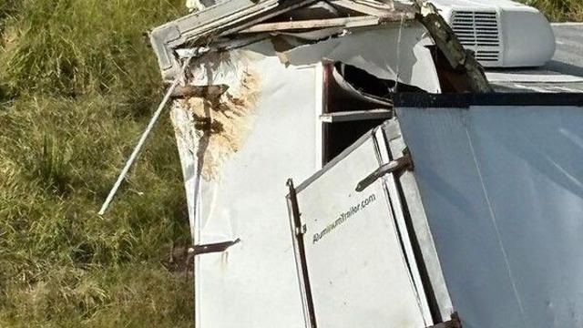 고속도로서 실험용 원숭이 탈출…美 당국 