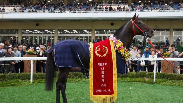 스피드영이 쓴 대반전·경주로에 나타난 공룡…10월 韓 경마 명장면