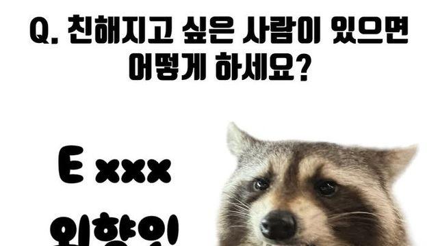 내향인이 친해지고싶은 사람 있을 때 쓰는 방법