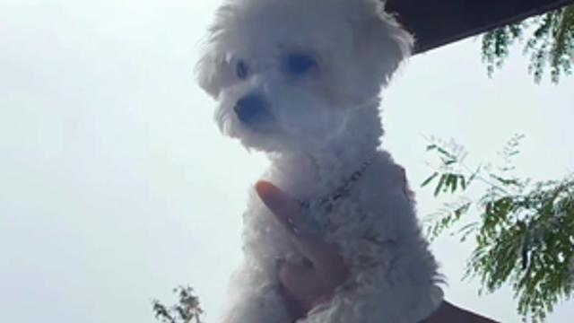 골반을 멈추지 않은탓일까?