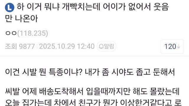 밴드 오아시스 옷을 산 디시인 근황