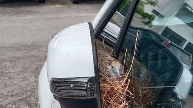 장기 주차를 하면 안되는 이유