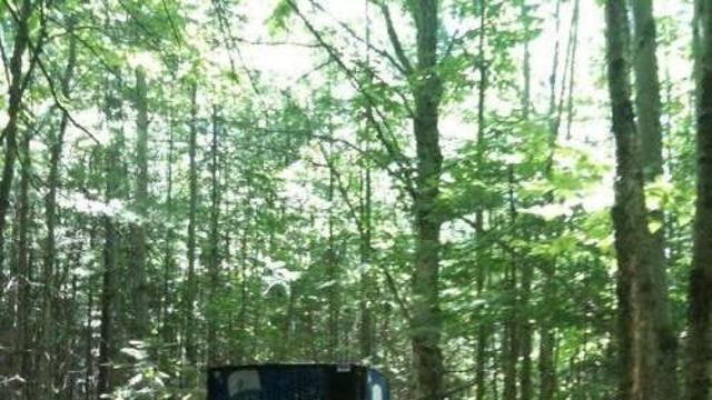 판타지에서 뻔한 미믹에 속는 이유