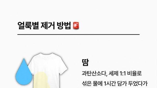 의류 얼룩별 제거 방법