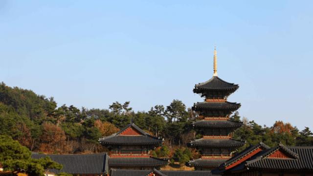 백제의 고도 부여에서 만나는 가을 감성, 역사와 카페 여행