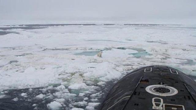 핵잠수함에 올라탄 북극곰