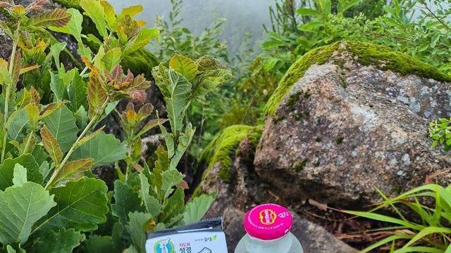 정상에서 식사하는 보배아재