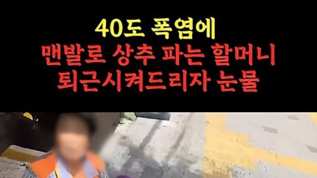 40도 폭염에 길거리에서 상추파는 할머니