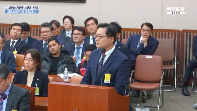 [국감 포커스] 강인석 이마트 본부장 