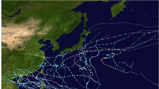 올해 한반도에는 태풍이 한번도 오지않았다고 함