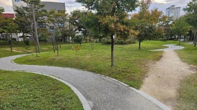 한국인 성격 보여주는 사진