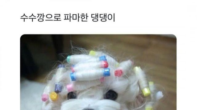 웨이브펌 잘 나온 여신 강아지