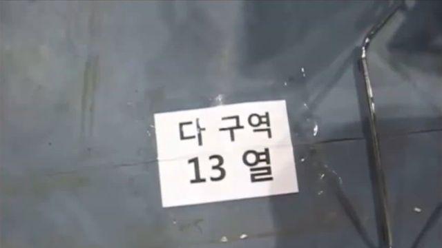 한국와서 신기한 듣보 외국인 스타