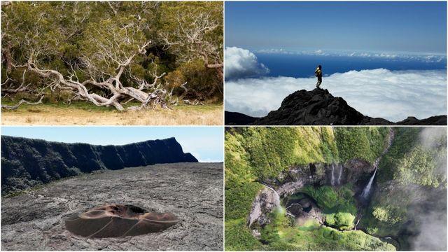 '세계테마기행' 세상에 이런 섬이! 모리셔스 레위니옹 4부, 피통 데 네주 편