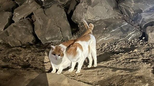 사랑이 어떻게 변했을까.