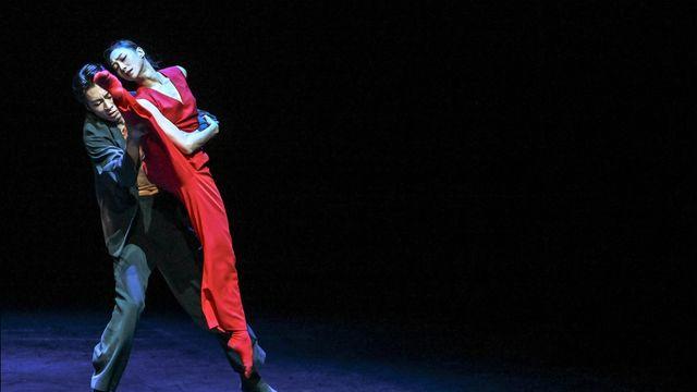 몸의 교차 속 찰나의 애절함…발레 '언더 더 트리즈 보이시스'