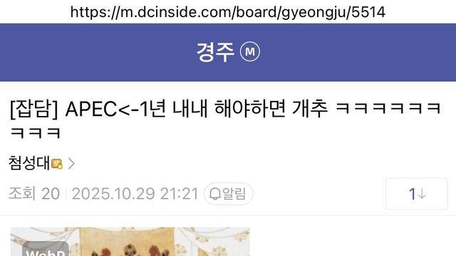 APEC때문에 빡쳤다가 기뻐하는 경주갤러리 