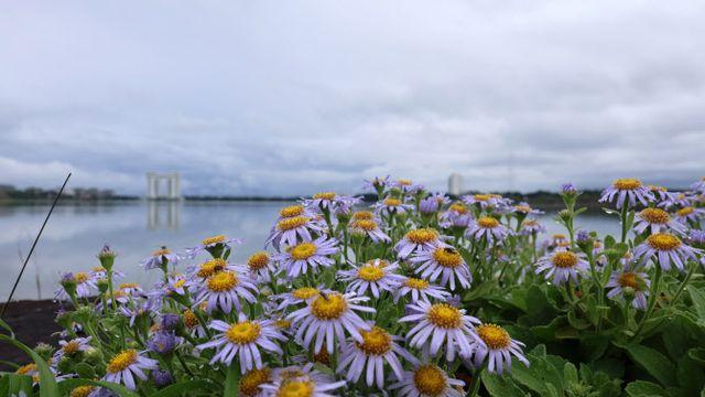 한낮 기온 20도까지 올라…밤부터 전국 곳곳에 약한 비[내일날씨]