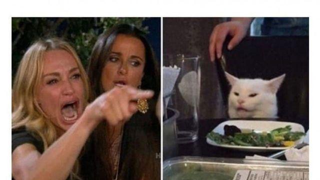 밈으로만 보던 여자의 진실