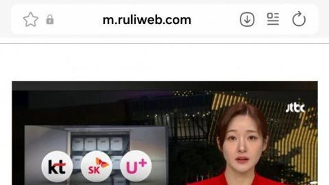 똑닮은 돼지 3형제