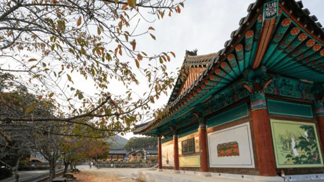 영천, 고즈넉한 서원과 트렌디한 카페가 어우러진 가을 여행