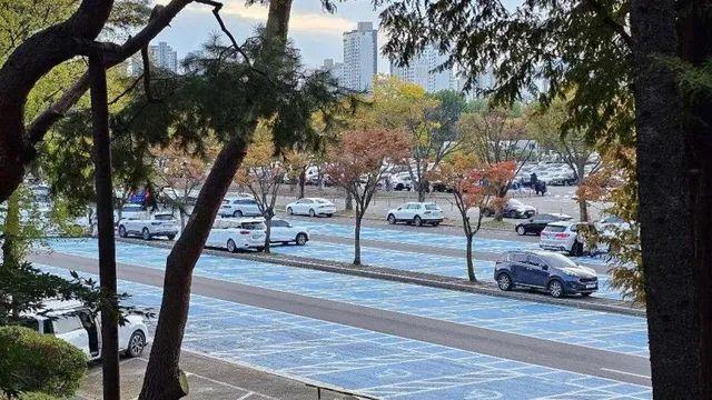 서울대공원 주차장, 무개념 주차 모습,,