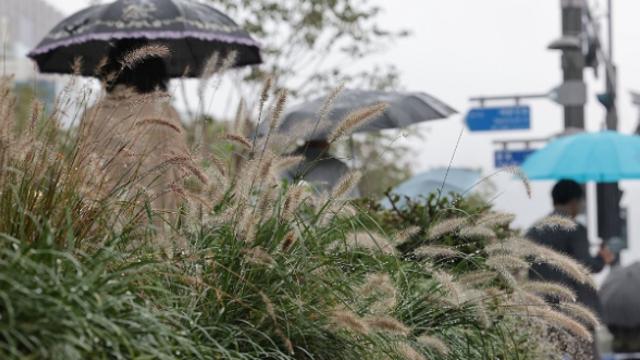 [내일 날씨] 전국 대체로 흐려…일부선 약한 비