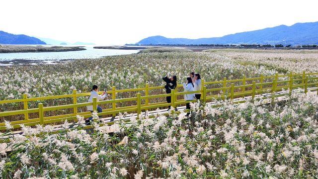 자연·역사·맛·사람 다 담은 오감 핫플 ‘강진’
