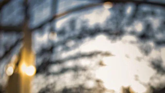 디사갤이니까 사진 올리는건 부끄럽지 않아!!