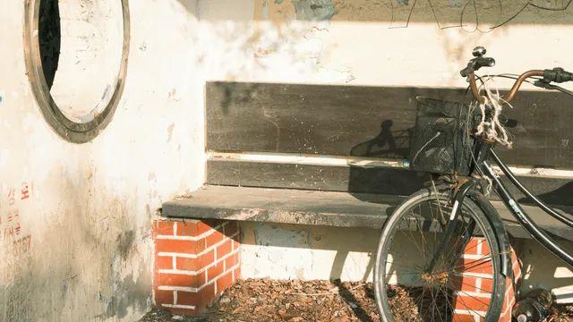 후지 xt5 슈퍼타쿠마 55mm f1.8 사진 투척