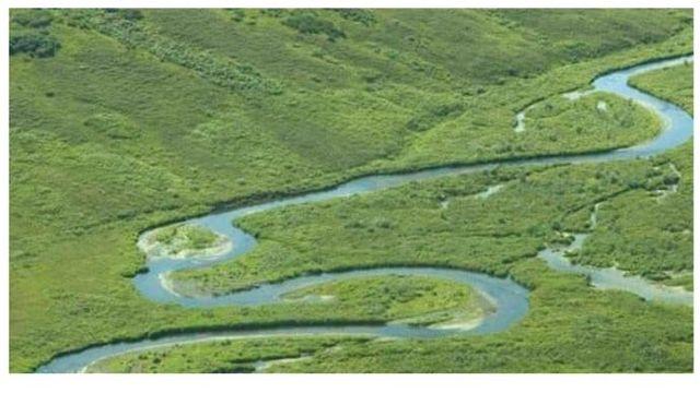 세계에서 가장 좁은 강