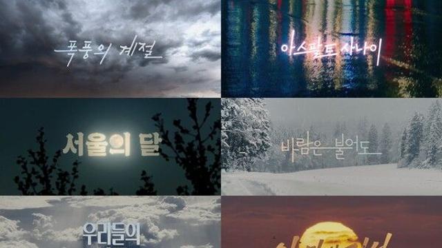 '아스팔트 사나이' '서울의 달' '젊은이의 양지', 화제작 '태풍상사' 부제에 숨겨진 비밀