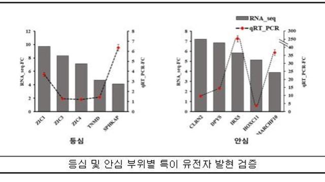 농촌진흥청, 등심과 안심, 맛·식감 차이…유전자가 달랐다