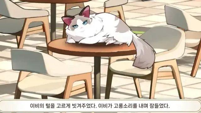 남초겜 여초겜 차이.jpg,,