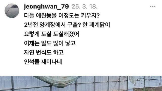 돈 안되는 닭 사서 2년 키운 후기