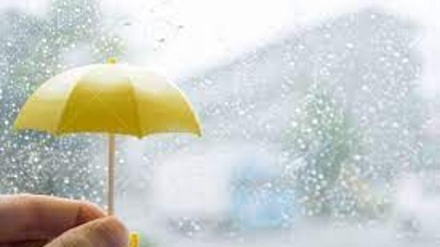 비 오는 날 갑자기 도둑이 됐다.