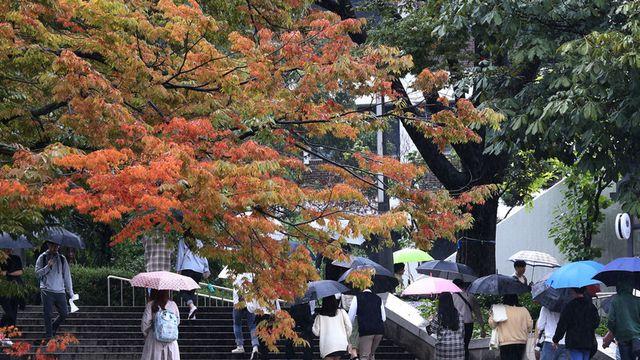 <주말 날씨> 전국 흐리고 곳곳 ‘가을비’⋯일요일은 ‘맑음’