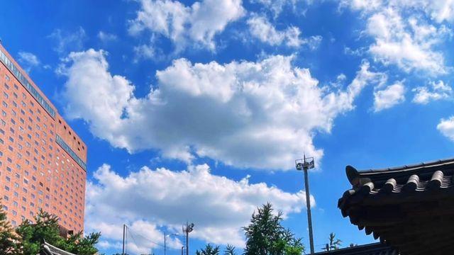 달콤한 홍시의 재발견, 홍시 디저트 맛집 3