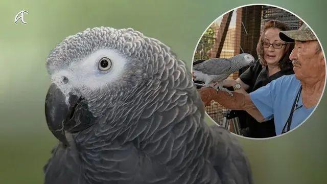 의외로 어학연수 가능함;,,