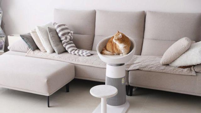 냥이 집사 타겟으로 만든 LG 공기청정기