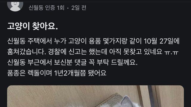 누가 집에있는 고양이를 훔쳐감 ㄷㄷ