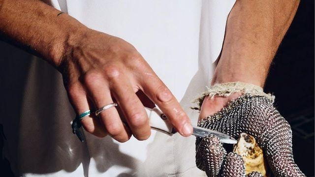 11월부터 제철! 미리 알아둬야 하는 굴 맛집4