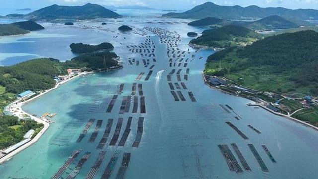 비싸서 엄두도 못 냈는데…값 뚝 떨어지고 외면받는 ‘국민 수산물’ 정체