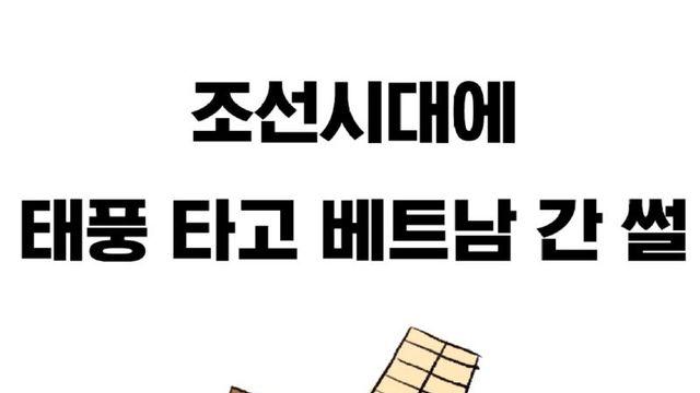 태풍 타고 베트남 간 썰