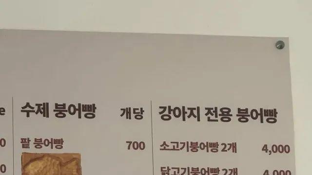 강아지용 붕어빵,,