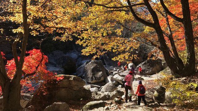 붐비지 않아 더 좋다…지금 떠나면 제대로 즐길 수 있는 ‘국내 여행지’