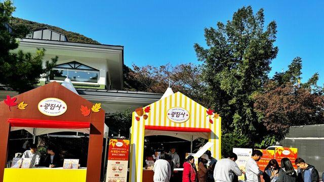‘내장산 단풍절정’, ‘AI 광집사‘로 ’혼잡‘ 피해 똑똑하게 즐긴다