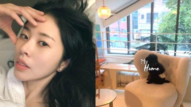 12억 ‘발리풍 신혼집’… 서동주, ‘♥4세 연하’와 감성 가득 단독주택 라이프 [RE:스타]